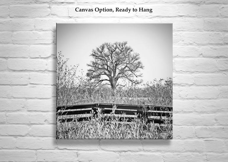 Original Black & White Landscape Photography by Murray Bolesta