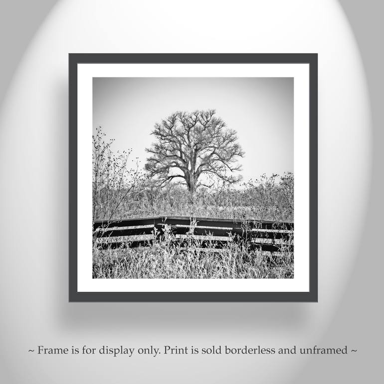 Original Black & White Landscape Photography by Murray Bolesta
