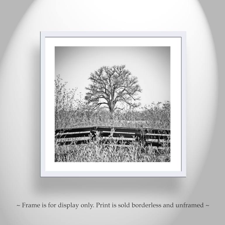 Original Black & White Landscape Photography by Murray Bolesta