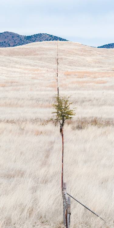 Original Minimalism Landscape Photography by Murray Bolesta