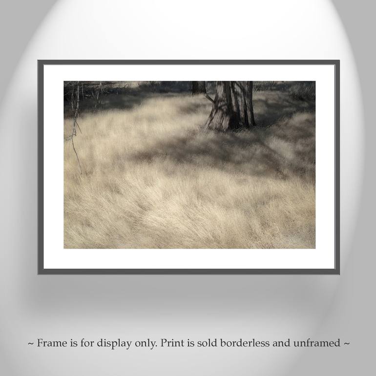 Original Fine Art Nature Photography by Murray Bolesta