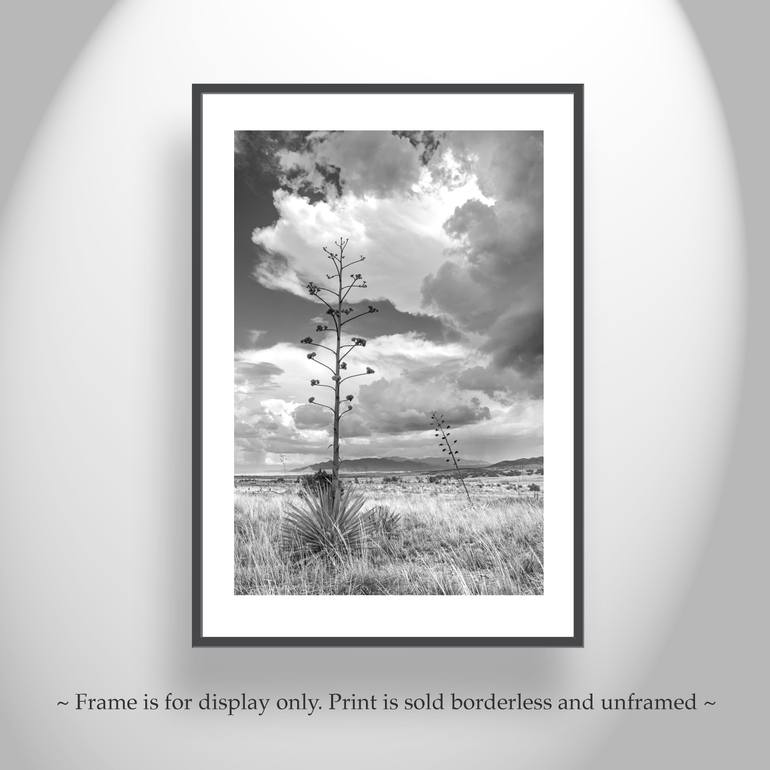 Original Impressionism Landscape Photography by Murray Bolesta