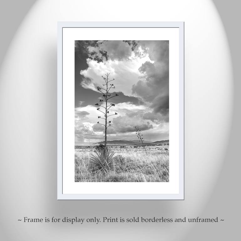 Original Impressionism Landscape Photography by Murray Bolesta