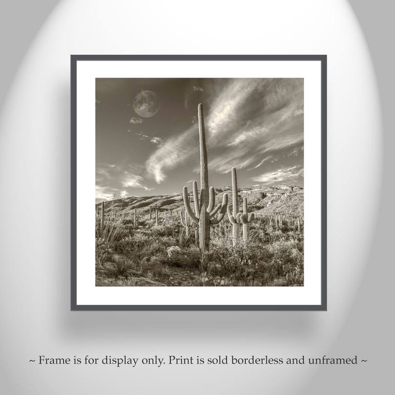 Original Impressionism Landscape Photography by Murray Bolesta