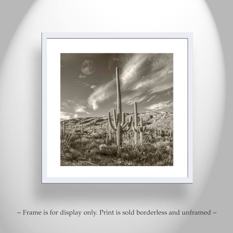 Original Impressionism Landscape Photography by Murray Bolesta