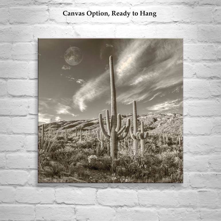 Original Impressionism Landscape Photography by Murray Bolesta