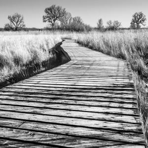 Collection Winter Boardwalk series