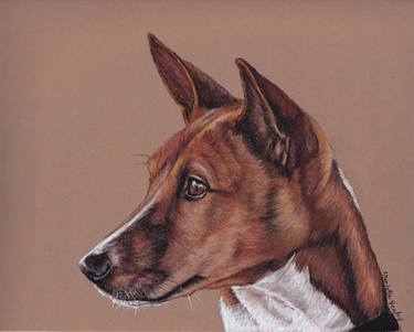 Original Realism Dogs Drawings by Charlotte Yealey
