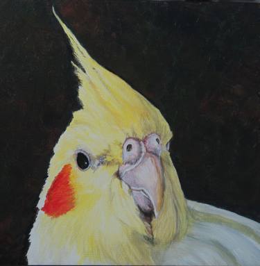 Original Animal Paintings by Charlotte Yealey