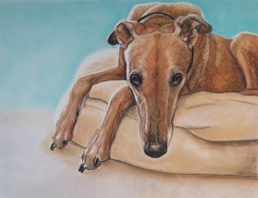 Original Realism Animal Drawings by Charlotte Yealey