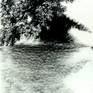 view additional image 1