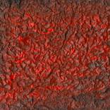 Collection Oil Paintings
