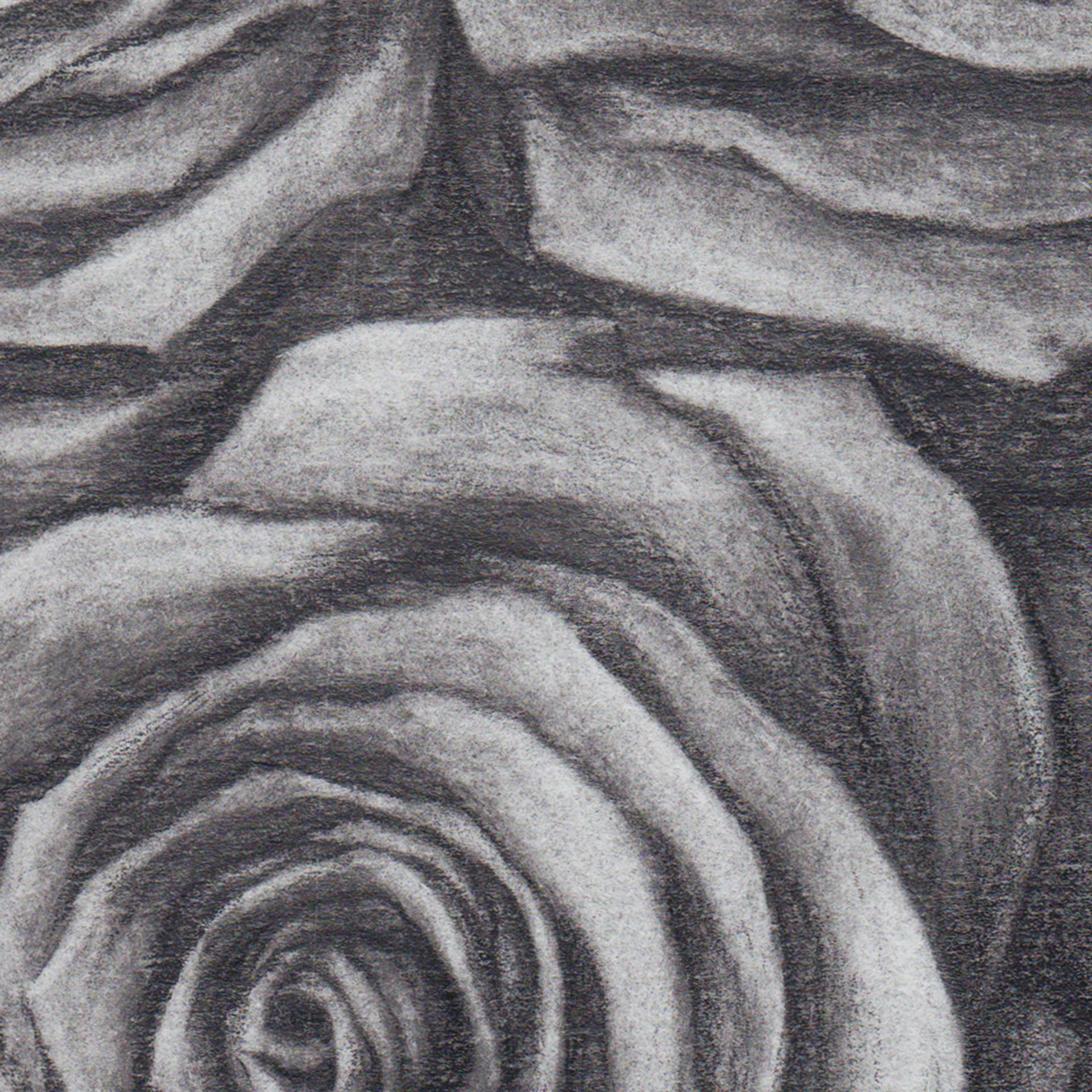 Black Roses. Sheet 01. Graphite Flowers Series Drawing by Sergey