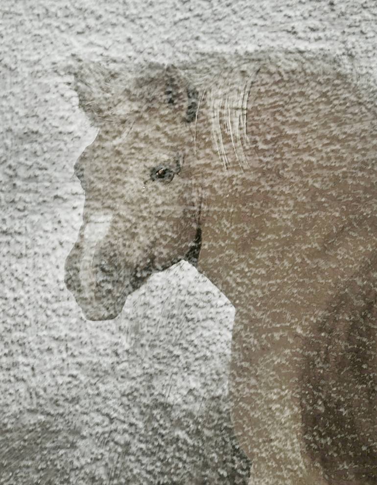 Original Fine Art Horse Photography by Dace Strausa