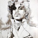 Prince by Colette van Ojik
