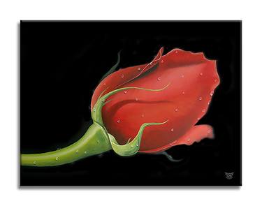 Red Rose - Canvas - Limited Edition thumb