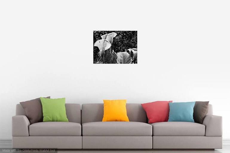 Original Figurative Nature Photography by Ester Q