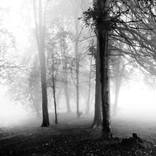 Silence, Italy - 2008 by Marco Castoldi