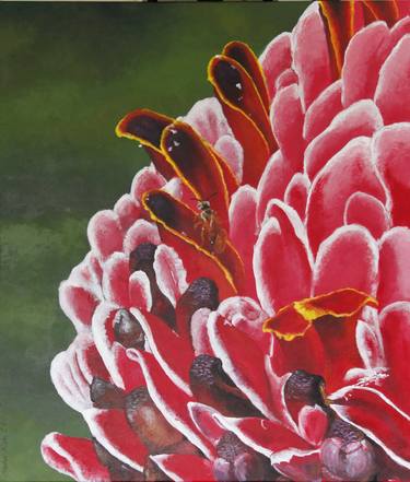 Print of Realism Floral Paintings by Shahar Klein