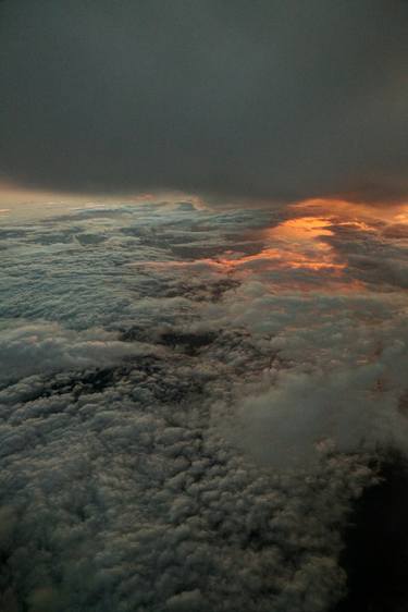 Print of Documentary Nature Photography by Shahar Klein