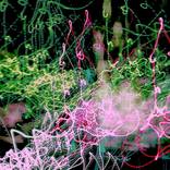 ISOTHERMAL CITY LIGHTS - Limited Edition of 15 by andrzej pluta