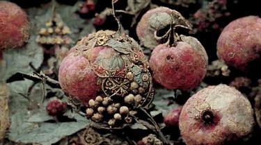 “The Colour of Pomegranates” #3 thumb