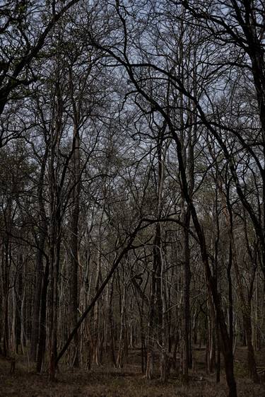 Print of Art Deco Landscape Photography by Partha Sen