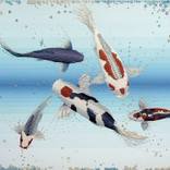 Collection NPQ's Summer 2013 Edition