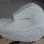White bird in rest by Uwe Kersten