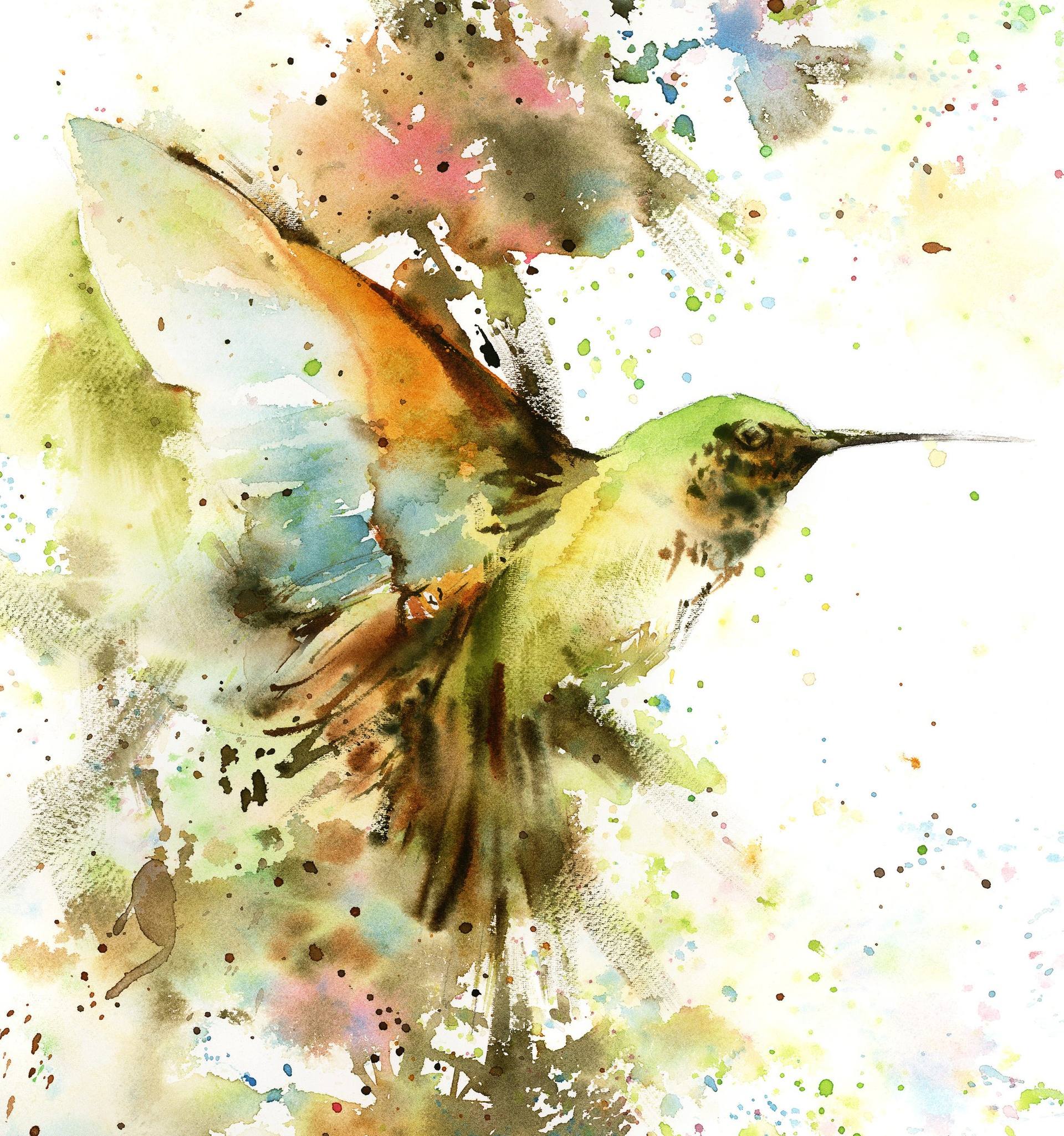 Hummingbird Painting by Sophie Rodionov Saatchi Art