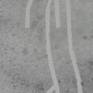 Detail 1