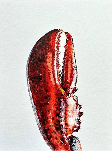 Lobster claw in watercolor thumb