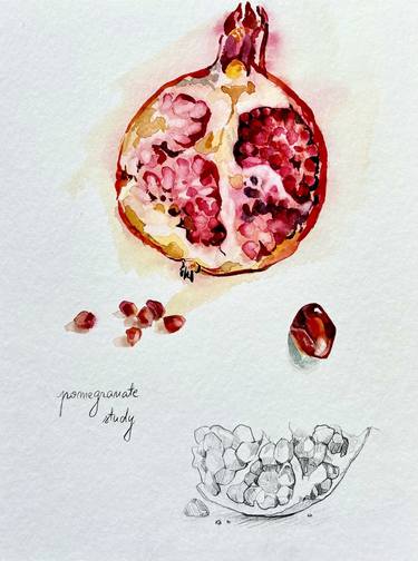 Pomegranate study thumb