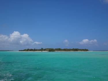 Owen Island, Cayman Islands, West Indies thumb