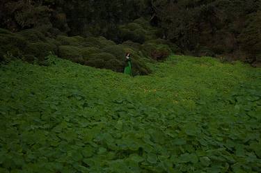 Print of Conceptual Botanic Photography by Jessica Prautzsch