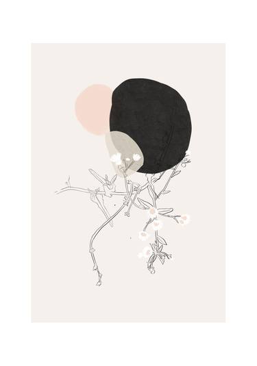 Saatchi Art Artist Sara Rossi; Printmaking, “Botanica Camomilla - Limited Edition of 14” #art