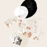 Collection Botanica