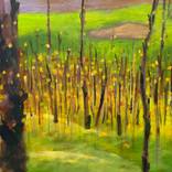 Autumn yellow forest by Nguyen Xuan Anh