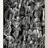 Rookery by Sarah Giannobile