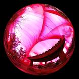 chinese dream - Limited Edition 1 of 3 by Stefano Ogliari Badessi