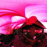 chinese dream - Limited Edition 1 of 3 by Stefano Ogliari Badessi