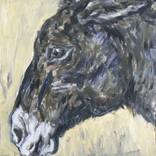 Donkey by Angel Taurus