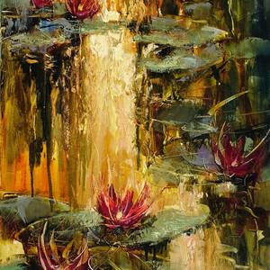 Collection Water Lilies