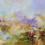 Collection Water Lilies