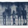 Collection Cyanotypes and more