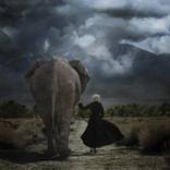 Collection New Photography | motion and stasis