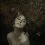 Queen Bee by Trini Schultz