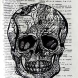 Monkey skull Drawing by Esmeralda Riglea