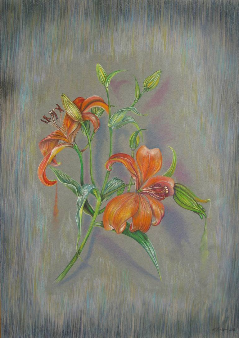 Orange Lily Drawing by Rona Innes | Saatchi Art