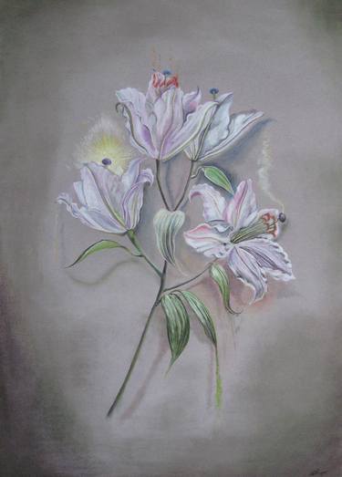 Original Nature Drawings by Rona Innes